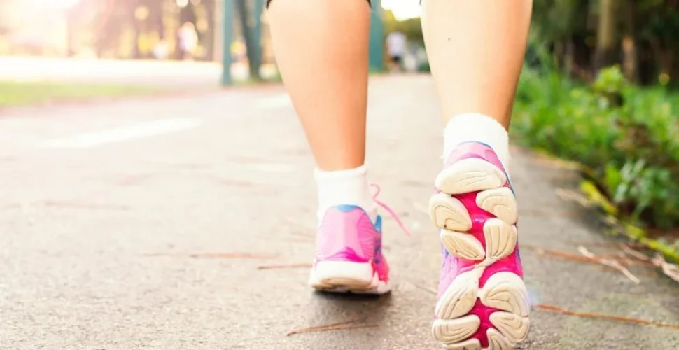 Wie viel Training ist gesund?   (1)